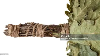 告别僵硬！无锡按摩达人私藏：五分钟舒缓肩颈，重塑天鹅颈的按摩手法秘籍