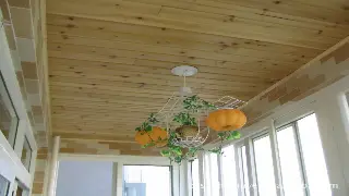 告别僵硬，唤醒活力：无锡按摩达人教你几招，在家也能享受专业级按摩手法！