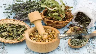 探索无锡按摩会所的隐藏宝藏：地区导航带你轻松找养生好去处