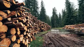 告别亚健康：无锡老饕私藏的养生搭配秘籍，让你元气满满！