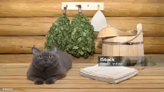 指尖的温度：从古至今，无锡按摩的千年传承与独特魅力