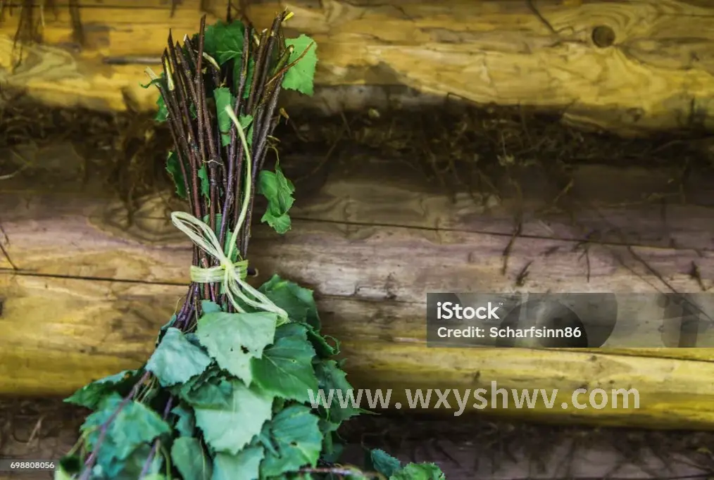 古代文人的养生小憩